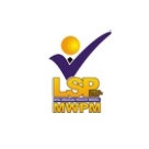 LSP MWPM